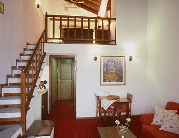Hotel  Spa  Montana Loft Suite Καρπενήσι