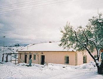 Farme House Gerofotis Summer view Αίγιο