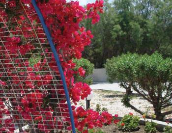 Anesis Hotel Εξωτερική Παροικία Anesis Hotel Εξωτερική Παροικία