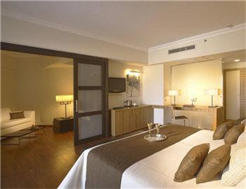 Elysium Resort Spa Elite Junior Suite (2ad+1ch) Καλλιθέα