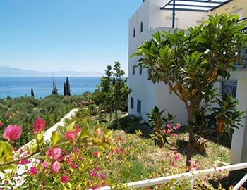 Colonides Beach Hotel Πισίνα Κορώνη