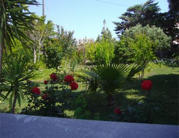 Βίλα Θυμάρι Κήπος Ρέθυμνο