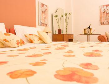 Theoxenia Hotel Apartments Δίκλινο Χράνοι